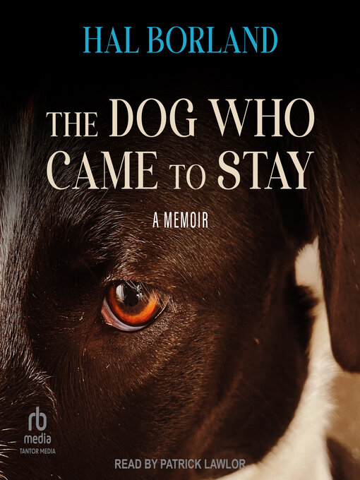 Cover image for The Dog Who Came to Stay